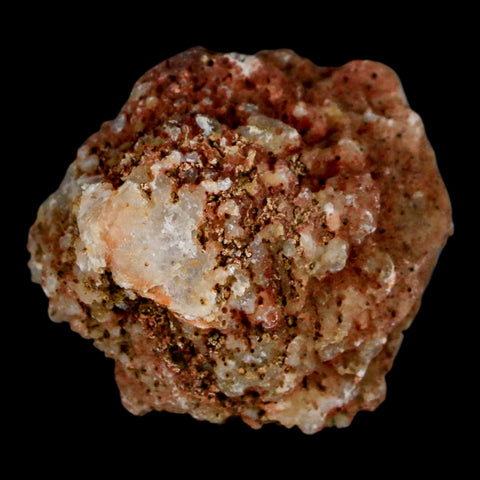 2" Polished Cut Agate Geode Crystal Quarts Chalcedony Mineral Specimen - Fossil Age Minerals