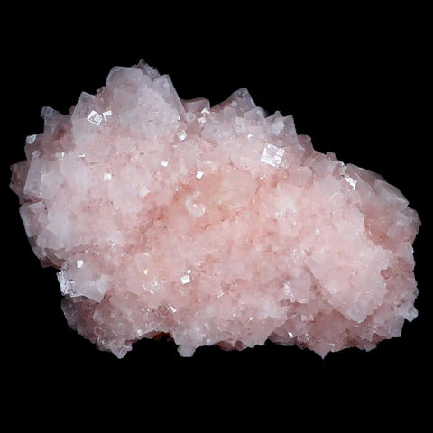 XL 5.3" Quality Pink Halite Salt Crystals Cluster Mineral Trona, CA Searles Lake - Fossil Age Minerals