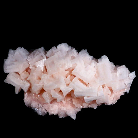 XL 6.8" Quality Pink Halite Salt Crystals Cluster Mineral Trona, CA Searles Lake - Fossil Age Minerals