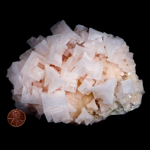 XL 5.8" Quality Pink Halite Salt Crystals Cluster Mineral Trona, CA Searles Lake - Fossil Age Minerals