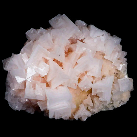 XL 5.8" Quality Pink Halite Salt Crystals Cluster Mineral Trona, CA Searles Lake - Fossil Age Minerals