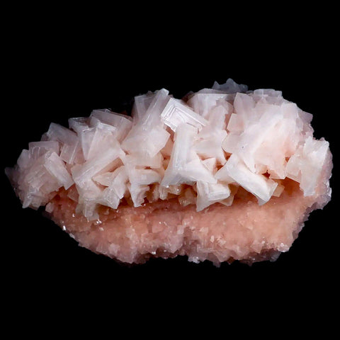 XL 7" Quality Pink Halite Salt Crystals Cluster Mineral Trona, CA Searles Lake - Fossil Age Minerals