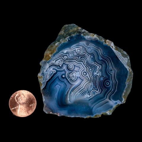 2.7" Polished Cut Agate Geode Crystal Quarts Chalcedony Mineral Specimen - Fossil Age Minerals