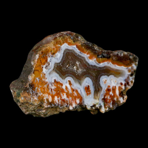 2.6" Polished Cut Agate Geode Crystal Quarts Chalcedony Mineral Specimen - Fossil Age Minerals