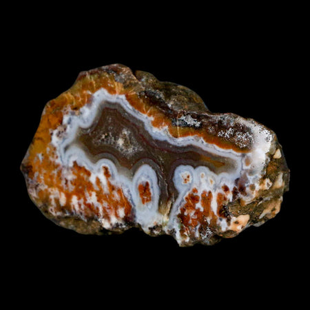 2.6" Polished Cut Agate Geode Crystal Quarts Chalcedony Mineral Specimen