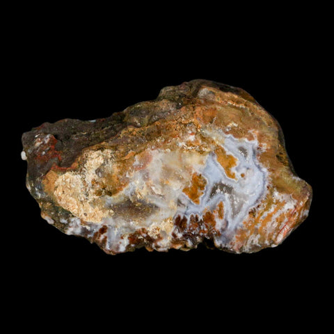 2.6" Polished Cut Agate Geode Crystal Quarts Chalcedony Mineral Specimen - Fossil Age Minerals