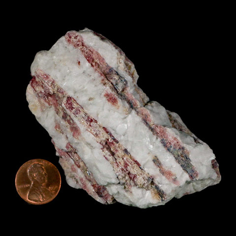 3.4" Natural Rough Pink Tourmaline on Crystal Quartz Mineral Specimen Brazil - Fossil Age Minerals