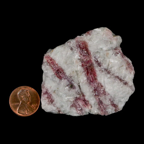 2.3" Natural Rough Pink Tourmaline on Crystal Quartz Mineral Specimen Brazil - Fossil Age Minerals