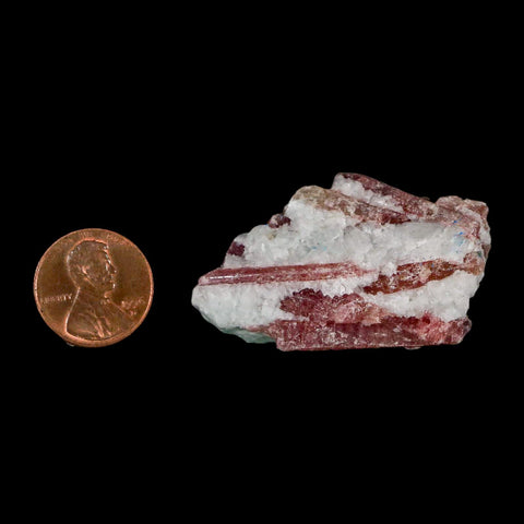 1.9" Natural Rough Pink Tourmaline on Crystal Quartz Mineral Specimen Brazil - Fossil Age Minerals