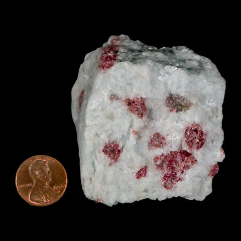 2.7" Natural Rough Pink Tourmaline on Crystal Quartz Mineral Specimen Brazil - Fossil Age Minerals