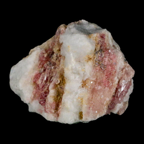 1.7" Natural Rough Pink Tourmaline on Crystal Quartz Mineral Specimen Brazil - Fossil Age Minerals