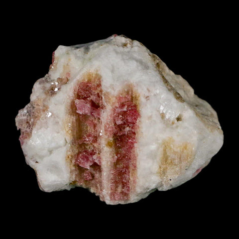 1.7" Natural Rough Pink Tourmaline on Crystal Quartz Mineral Specimen Brazil - Fossil Age Minerals