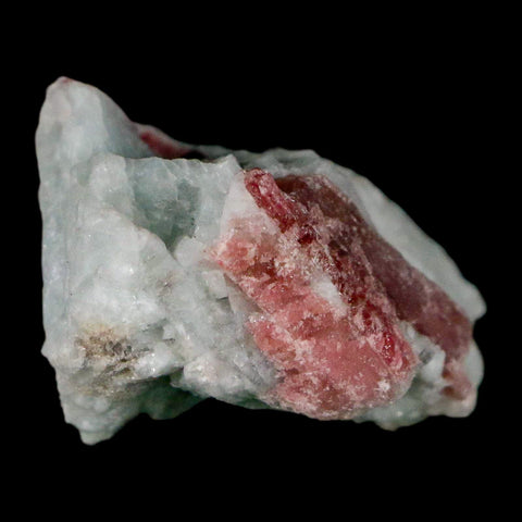 1.5" Natural Rough Pink Tourmaline on Crystal Quartz Mineral Specimen Brazil - Fossil Age Minerals