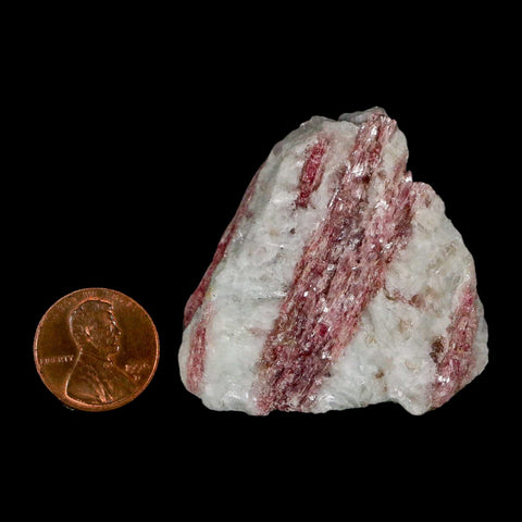 2" Natural Rough Pink Tourmaline on Crystal Quartz Mineral Specimen Brazil - Fossil Age Minerals