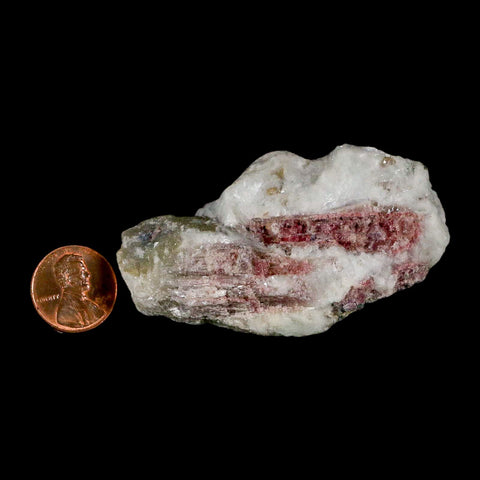 2.7" Natural Rough Pink Tourmaline on Crystal Quartz Mineral Specimen Brazil - Fossil Age Minerals