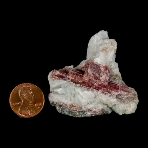 1.9" Natural Rough Pink Tourmaline on Crystal Quartz Mineral Specimen Brazil - Fossil Age Minerals