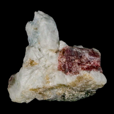 1.9" Natural Rough Pink Tourmaline on Crystal Quartz Mineral Specimen Brazil - Fossil Age Minerals