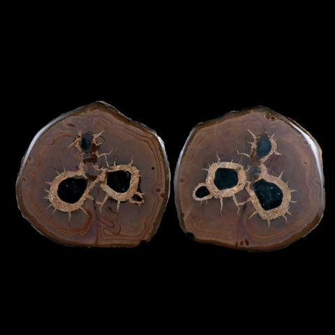 XL 3.5" Septarian Dragon Stone Polished Halves Nodule Mineral Specimen Morocco - Fossil Age Minerals