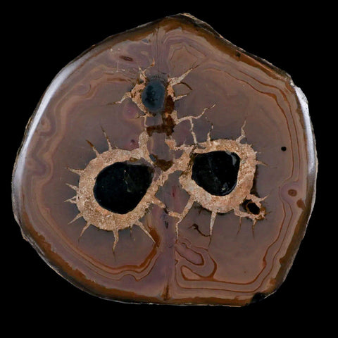 XL 3.5" Septarian Dragon Stone Polished Halves Nodule Mineral Specimen Morocco - Fossil Age Minerals