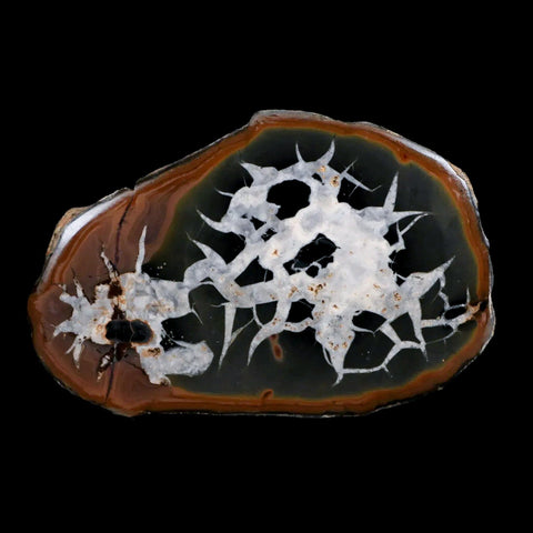 XL 3.9" Septarian Dragon Stone Polished Halves Nodule Mineral Specimen Morocco - Fossil Age Minerals