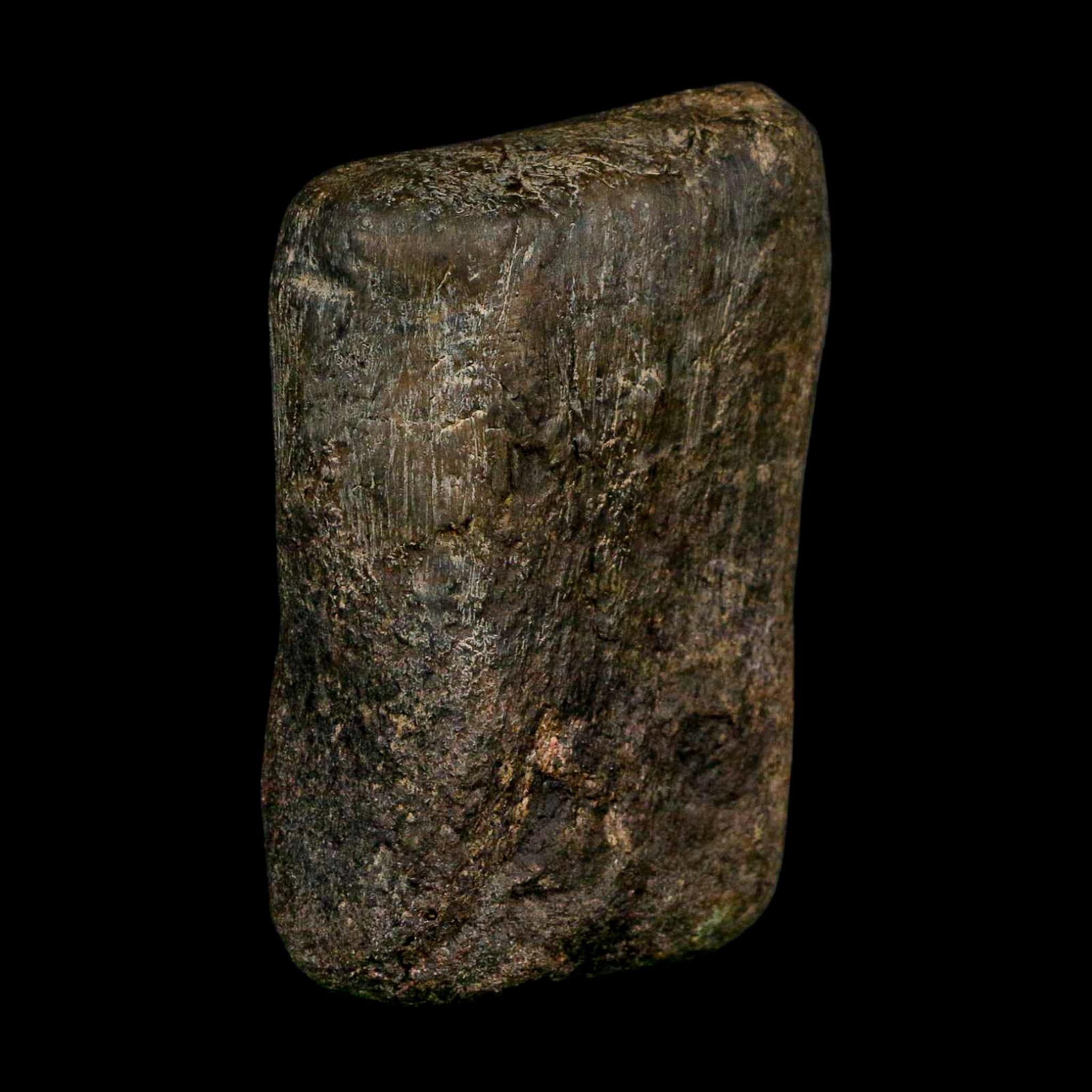 3.6" Hypacrosaurus Dinosaur Fossil Toe Bone Two Medicine FM Montana COA Stand - Fossil Age Minerals