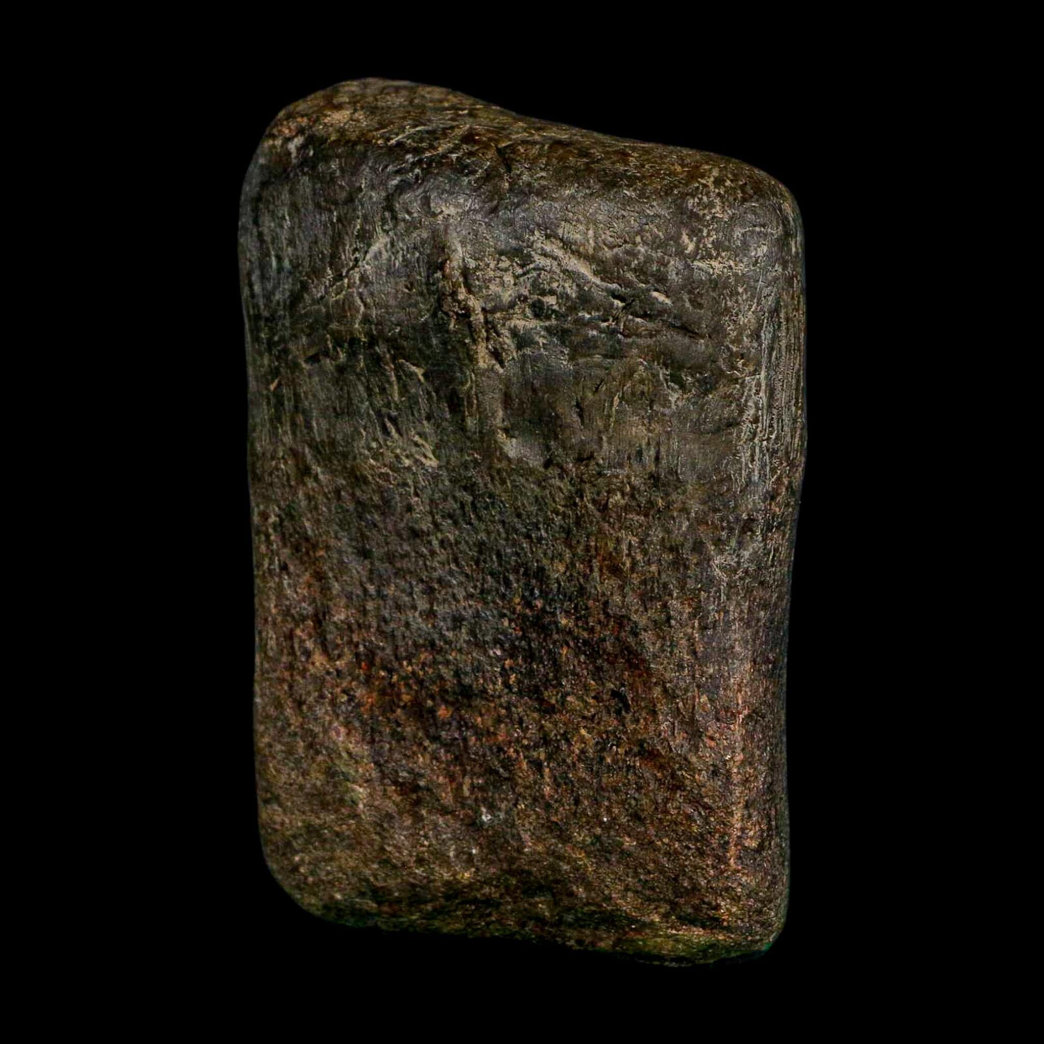 3.6" Hypacrosaurus Dinosaur Fossil Toe Bone Two Medicine FM Montana COA Stand - Fossil Age Minerals