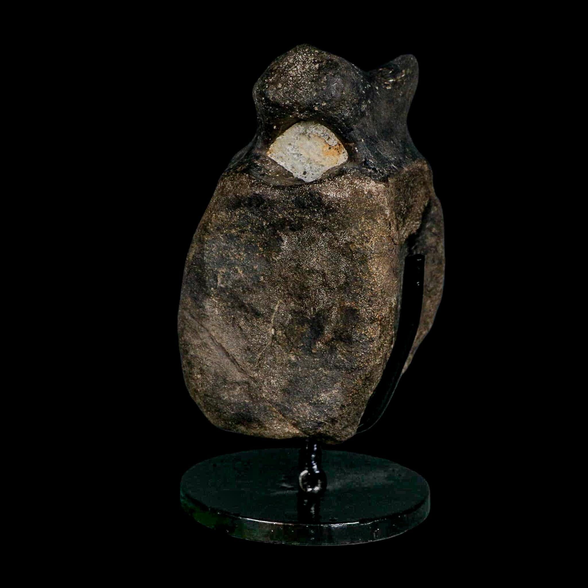 4.4" Hypacrosaurus Dinosaur Fossil Vertebrae Bone Two Medicine FM MT COA Stand - Fossil Age Minerals
