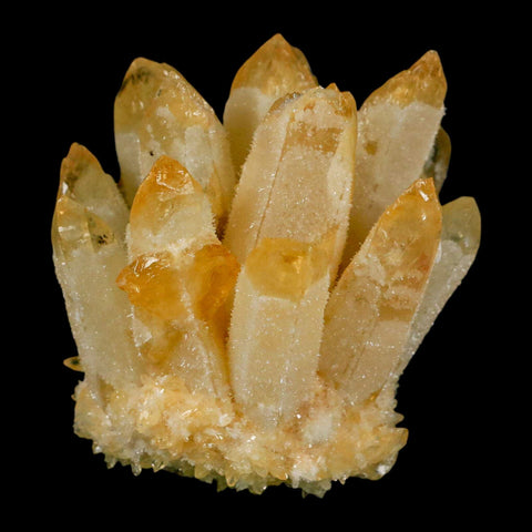 2.9" Yellow Phantom Ghost Quartz Crystal, Chlorite Cluster Mineral Specimen - Fossil Age Minerals