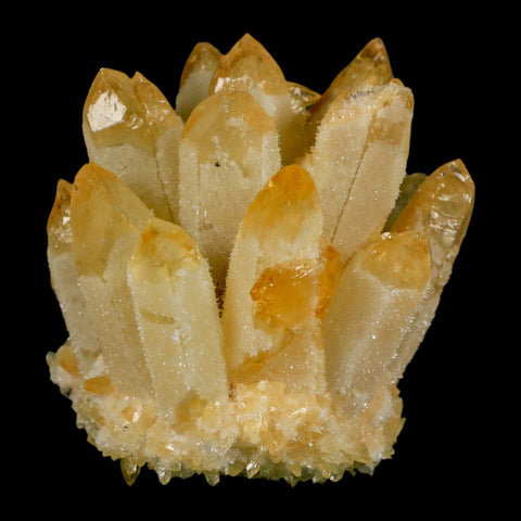 2.9" Yellow Phantom Ghost Quartz Crystal, Chlorite Cluster Mineral Specimen - Fossil Age Minerals