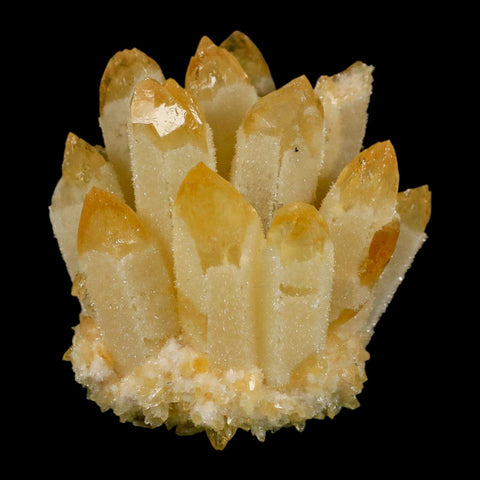 2.9" Yellow Phantom Ghost Quartz Crystal, Chlorite Cluster Mineral Specimen - Fossil Age Minerals