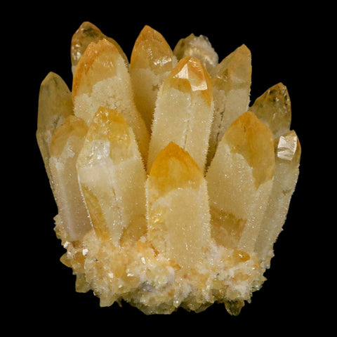 2.9" Yellow Phantom Ghost Quartz Crystal, Chlorite Cluster Mineral Specimen - Fossil Age Minerals