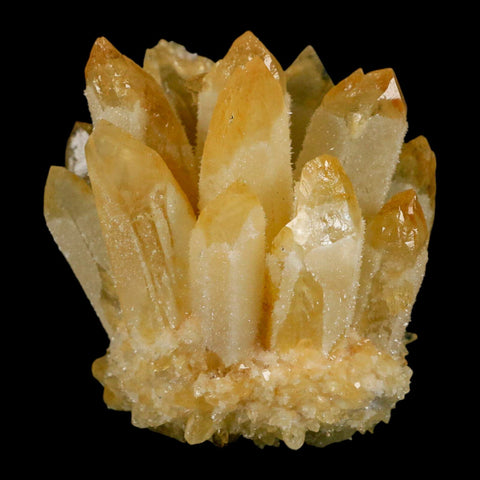 2.9" Yellow Phantom Ghost Quartz Crystal, Chlorite Cluster Mineral Specimen - Fossil Age Minerals