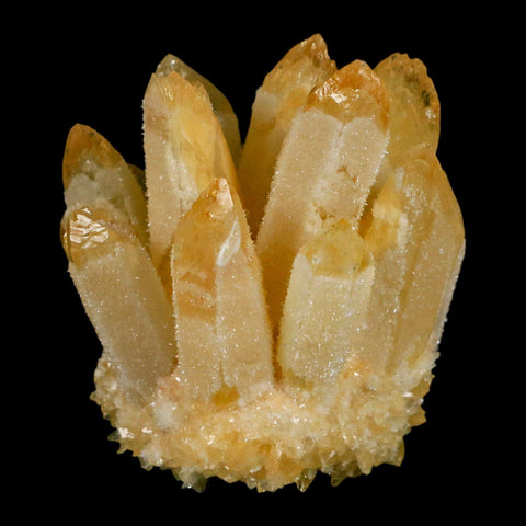 2.9" Yellow Phantom Ghost Quartz Crystal, Chlorite Cluster Mineral Specimen - Fossil Age Minerals