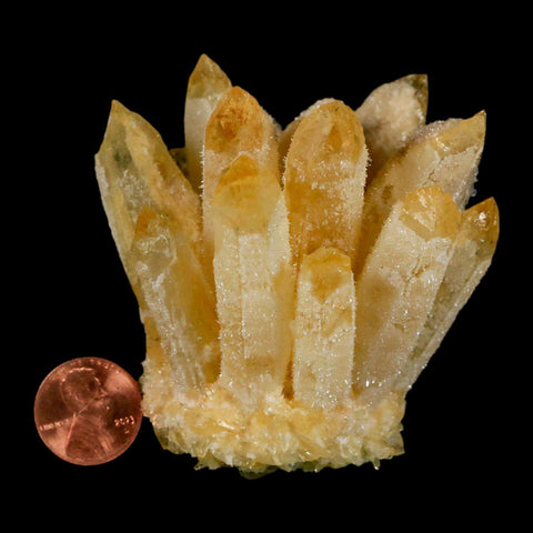 2.8" Yellow Phantom Ghost Quartz Crystal, Chlorite Cluster Mineral Specimen - Fossil Age Minerals