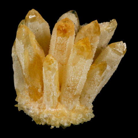 2.8" Yellow Phantom Ghost Quartz Crystal, Chlorite Cluster Mineral Specimen - Fossil Age Minerals