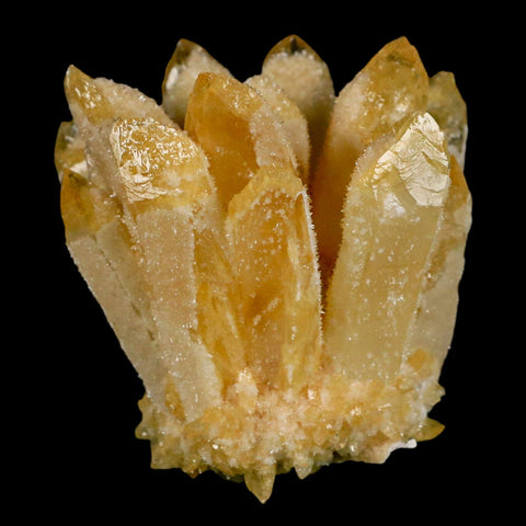 2.8" Yellow Phantom Ghost Quartz Crystal, Chlorite Cluster Mineral Specimen - Fossil Age Minerals