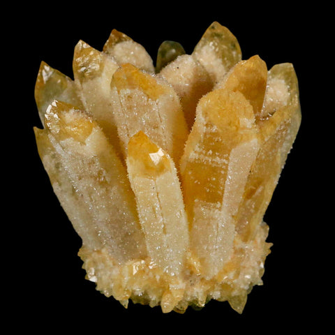 2.8" Yellow Phantom Ghost Quartz Crystal, Chlorite Cluster Mineral Specimen - Fossil Age Minerals