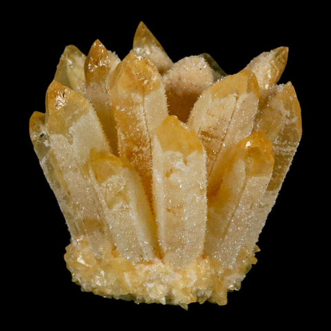 2.8" Yellow Phantom Ghost Quartz Crystal, Chlorite Cluster Mineral Specimen - Fossil Age Minerals