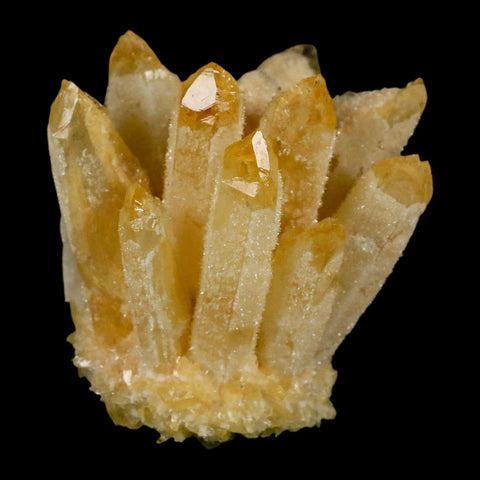 2.8" Yellow Phantom Ghost Quartz Crystal, Chlorite Cluster Mineral Specimen - Fossil Age Minerals