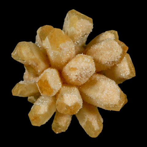 2.8" Yellow Phantom Ghost Quartz Crystal, Chlorite Cluster Mineral Specimen - Fossil Age Minerals