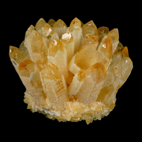 3.2" Yellow Phantom Ghost Quartz Crystal, Chlorite Cluster Mineral Specimen - Fossil Age Minerals