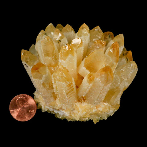 3.2" Yellow Phantom Ghost Quartz Crystal, Chlorite Cluster Mineral Specimen - Fossil Age Minerals