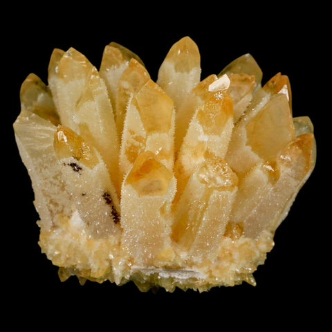 3.2" Yellow Phantom Ghost Quartz Crystal, Chlorite Cluster Mineral Specimen - Fossil Age Minerals