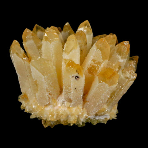 3.2" Yellow Phantom Ghost Quartz Crystal, Chlorite Cluster Mineral Specimen - Fossil Age Minerals