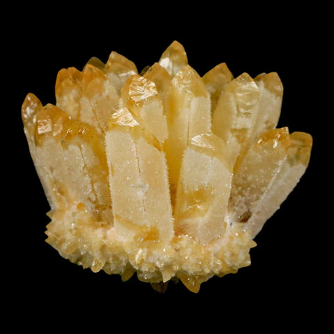 3.2" Yellow Phantom Ghost Quartz Crystal, Chlorite Cluster Mineral Specimen - Fossil Age Minerals