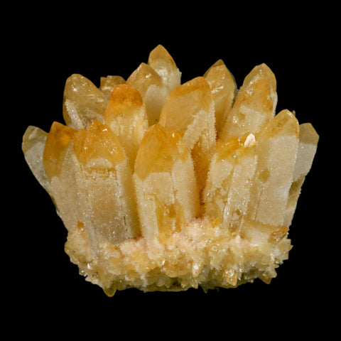 3.2" Yellow Phantom Ghost Quartz Crystal, Chlorite Cluster Mineral Specimen - Fossil Age Minerals