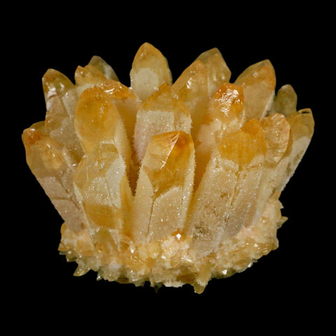 3.2" Yellow Phantom Ghost Quartz Crystal, Chlorite Cluster Mineral Specimen - Fossil Age Minerals