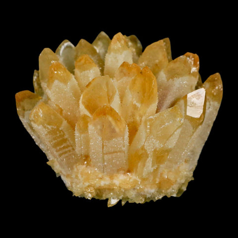 3.2" Yellow Phantom Ghost Quartz Crystal, Chlorite Cluster Mineral Specimen - Fossil Age Minerals