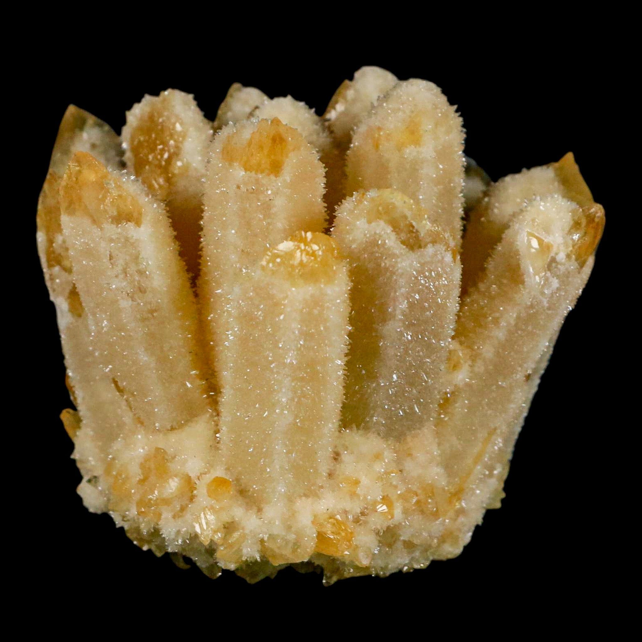 3.1" Yellow Phantom Ghost Quartz Crystal, Chlorite Cluster Mineral Specimen - Fossil Age Minerals