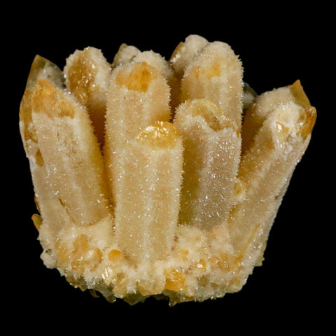 3.1" Yellow Phantom Ghost Quartz Crystal, Chlorite Cluster Mineral Specimen - Fossil Age Minerals